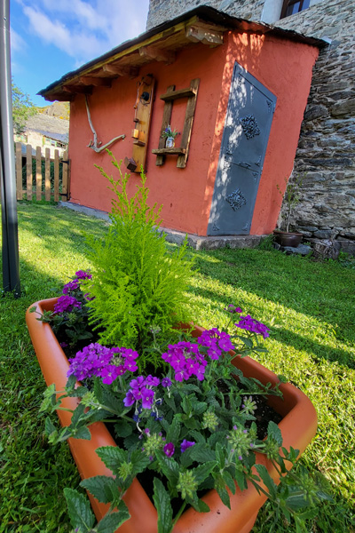 Maceta con flores en jardín